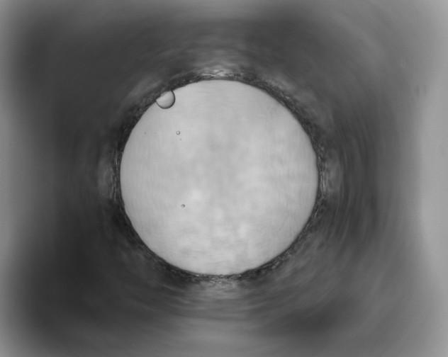 X0000093521446200711091731