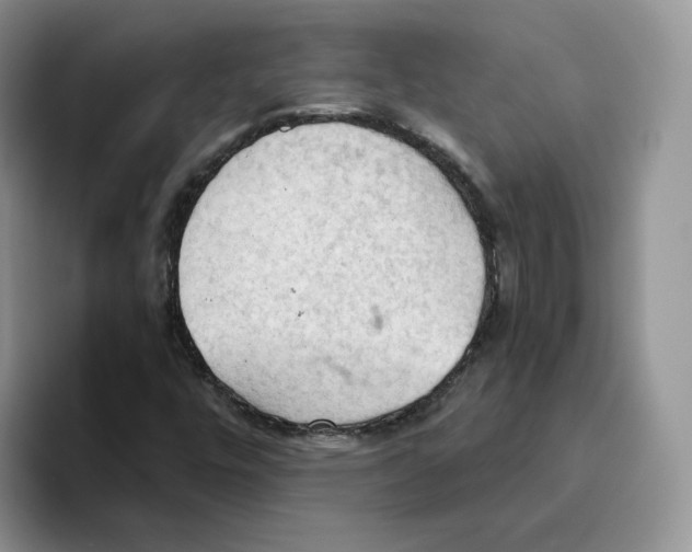 X0000093521448200711091731