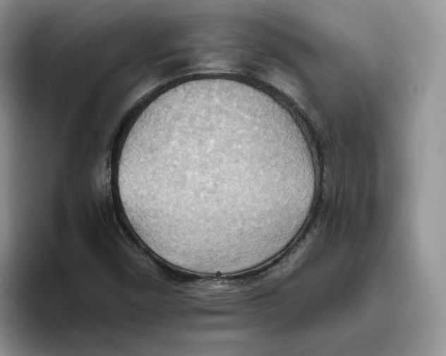 X0000093521450200711091731