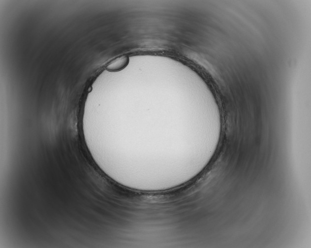 X0000093521451200711091731