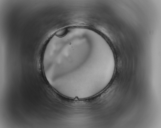 X0000093521455200711091731