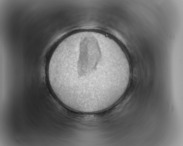 X0000093521456200711091731