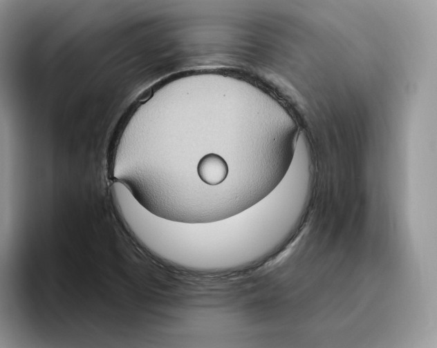 X0000093521457200711091731