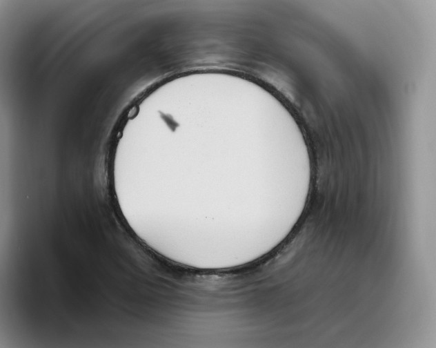 X0000093521458200711091731