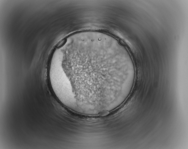 X0000093521459200711091731