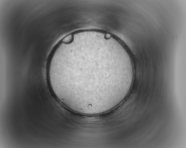 X0000093521460200711091731