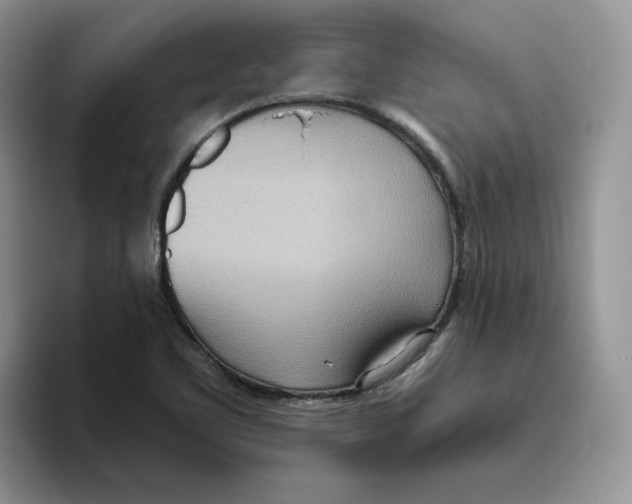 X0000093521461200711091731