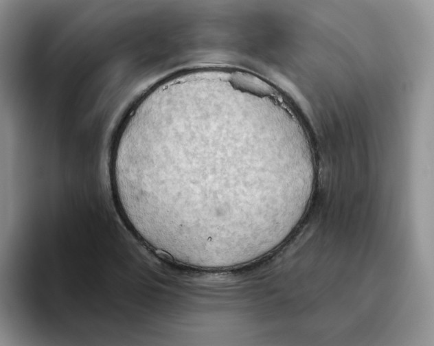 X0000093521464200711091731