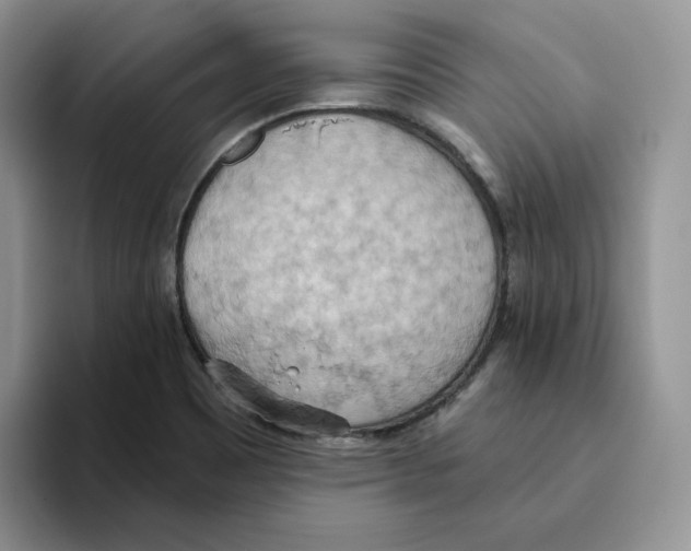 X0000093521465200711091731