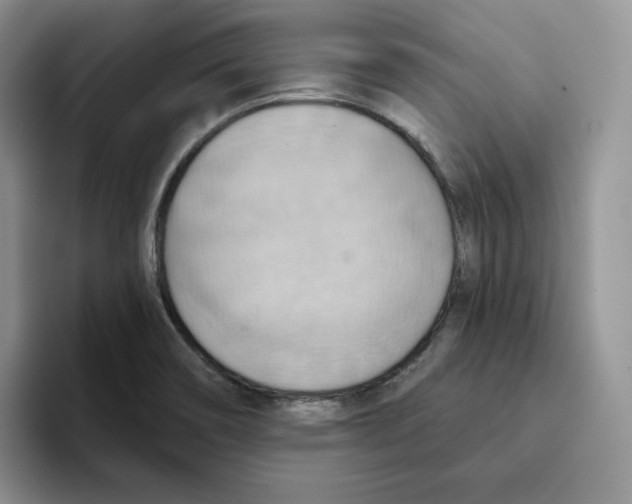 X0000093521466200711091731