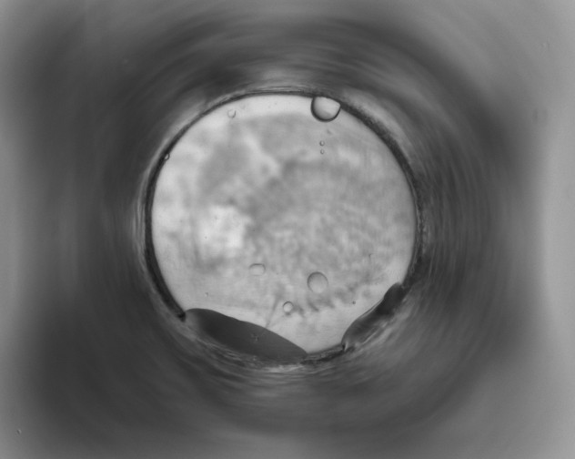 X0000093521467200711091731