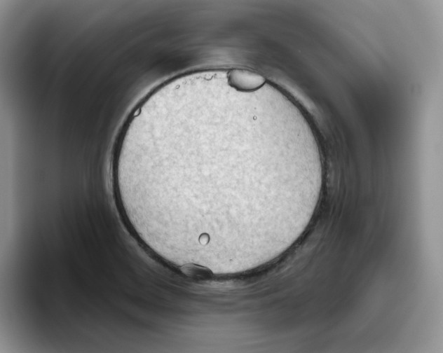 X0000093521468200711091731