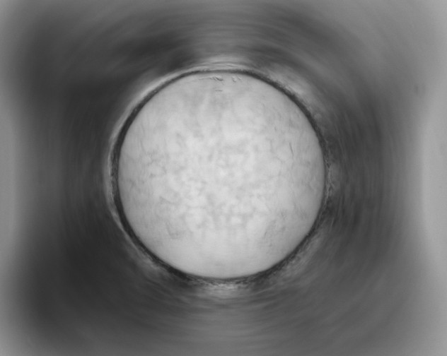 X0000093521470200711091731