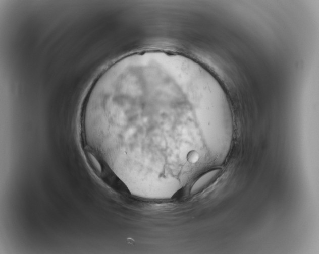 X0000093521471200711091731