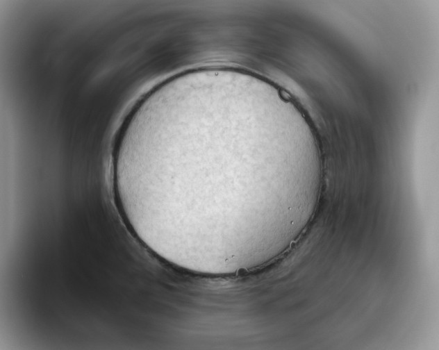 X0000093521472200711091731