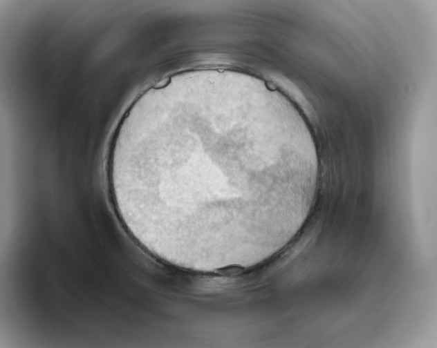 X0000093521475200711091730