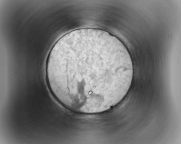 X0000093521479200711091730