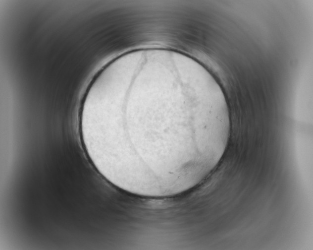 X0000093521480200711091730