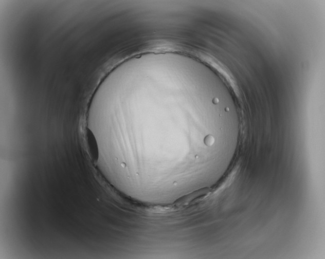 X0000093521481200711091730