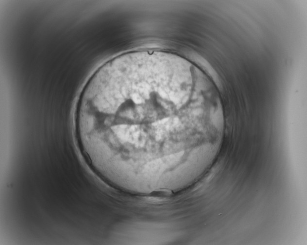 X0000093521483200711091730