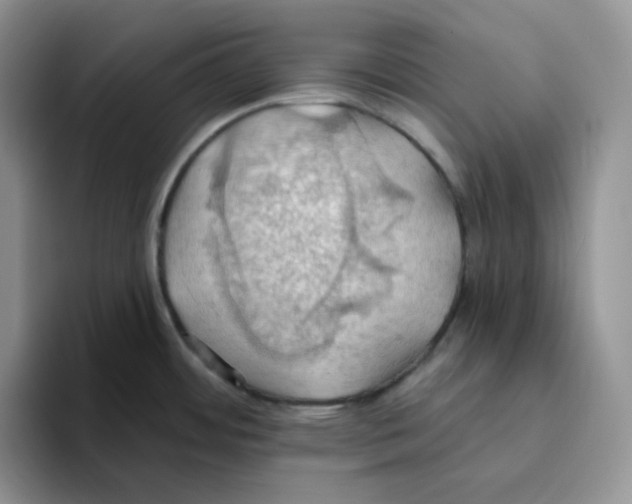 X0000093521484200711091730