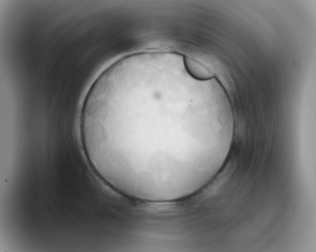 X0000093521486200711091730