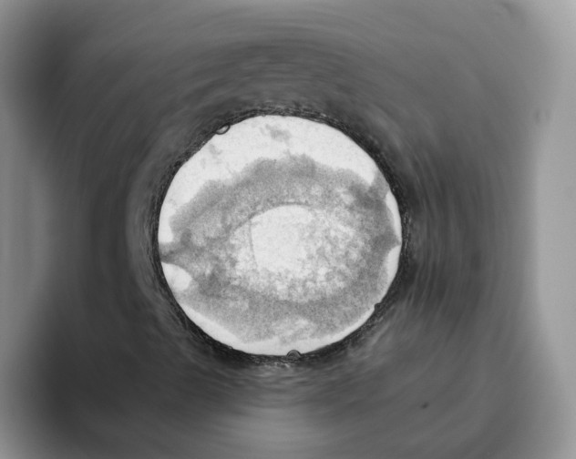 X0000093521489200711091730