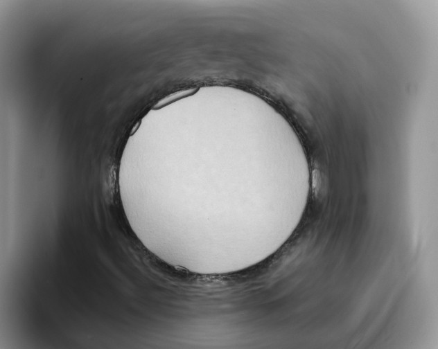 X0000093521492200711091730