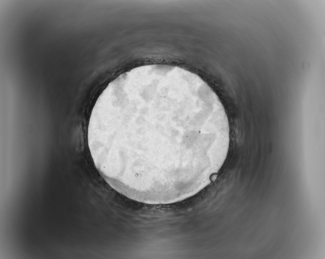 X0000093521493200711091730