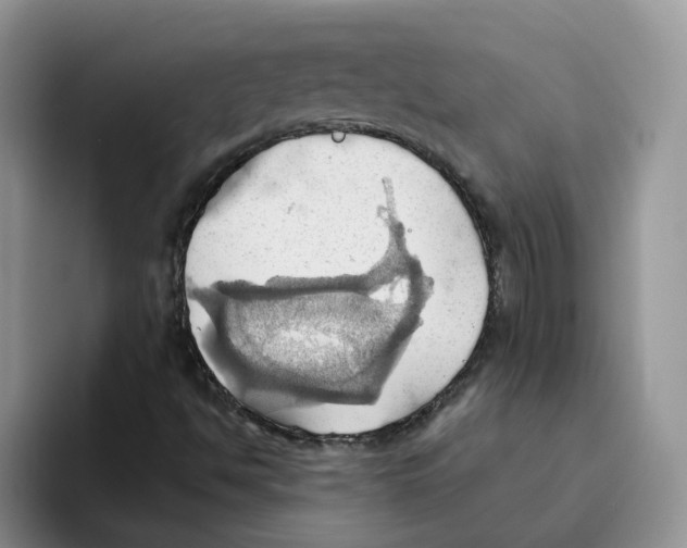 X0000093521494200711091730