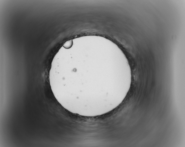 X0000093521495200711091730