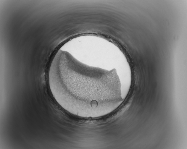 X0000093521497200711091730