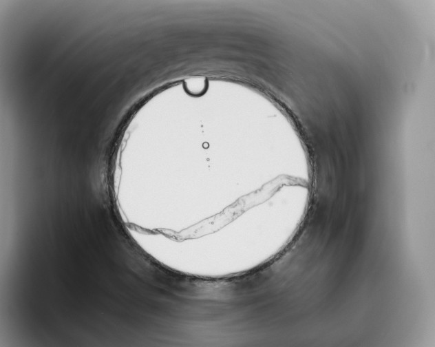 X0000093521498200711091730