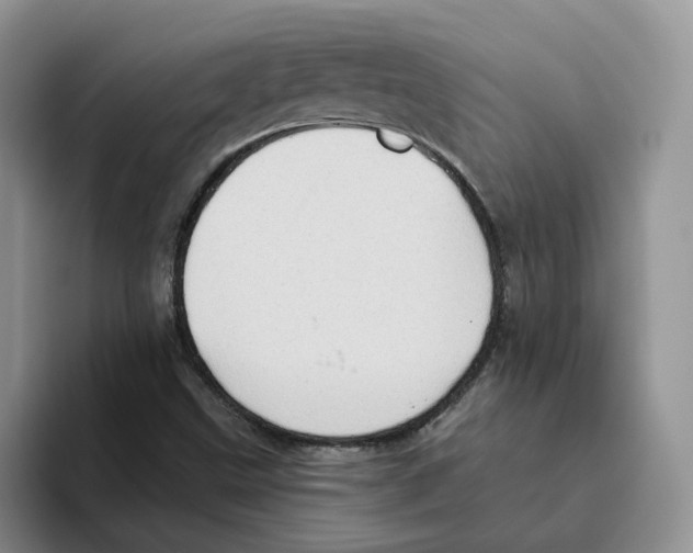 X0000093521499200711091730