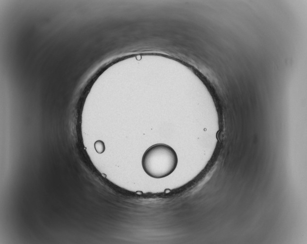 X0000093521502200711091730