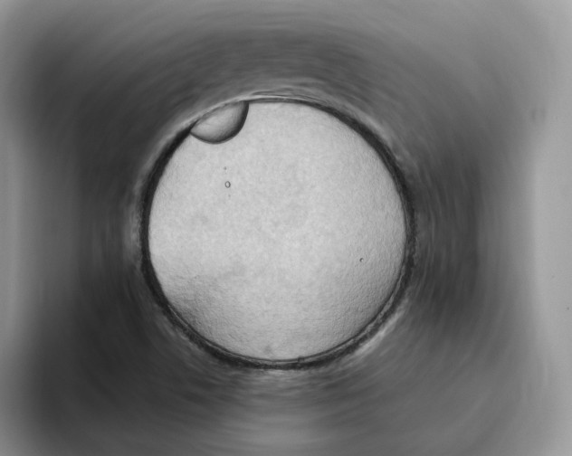 X0000093521506200711091730