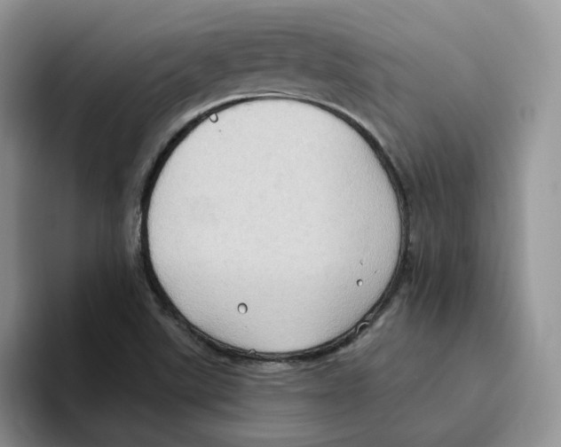 X0000093521507200711091730