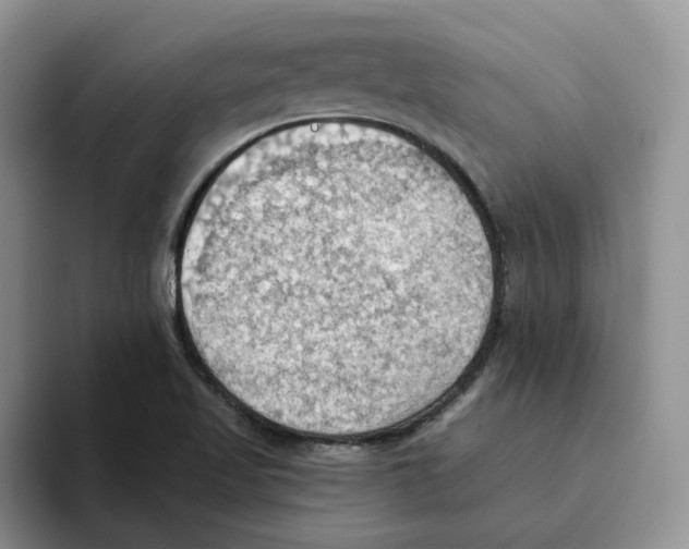 X0000093521509200711091730