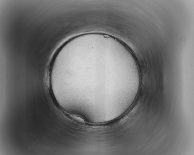 X0000093521510200711091730