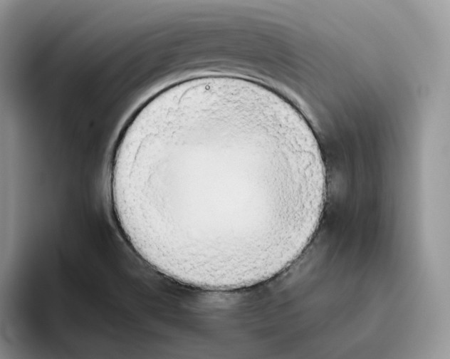 X0000093521514200711091730