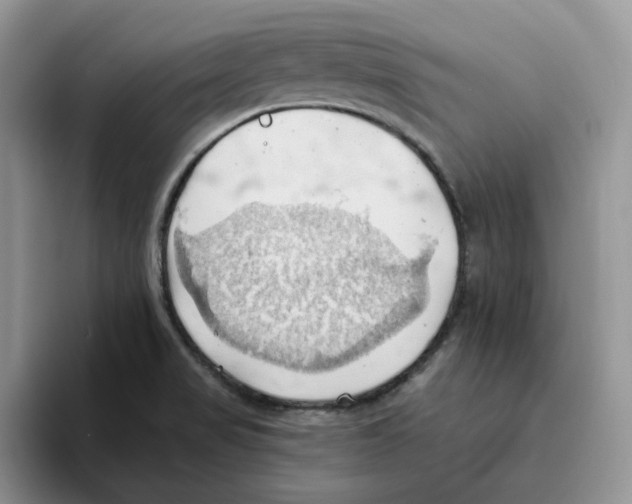 X0000093521517200711091730