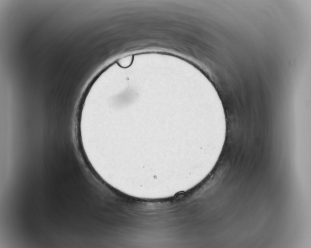 X0000093521518200711091730