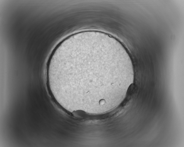 X0000093521519200711091730