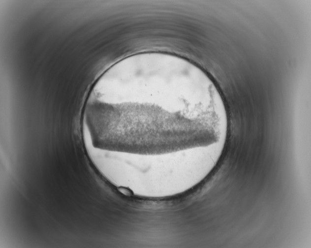 X0000093521521200711091730