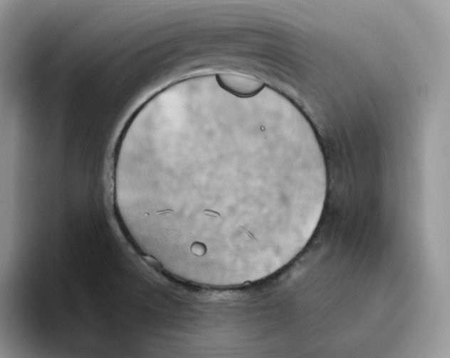 X0000093521522200711091730