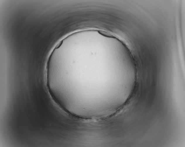 X0000093521524200711091730