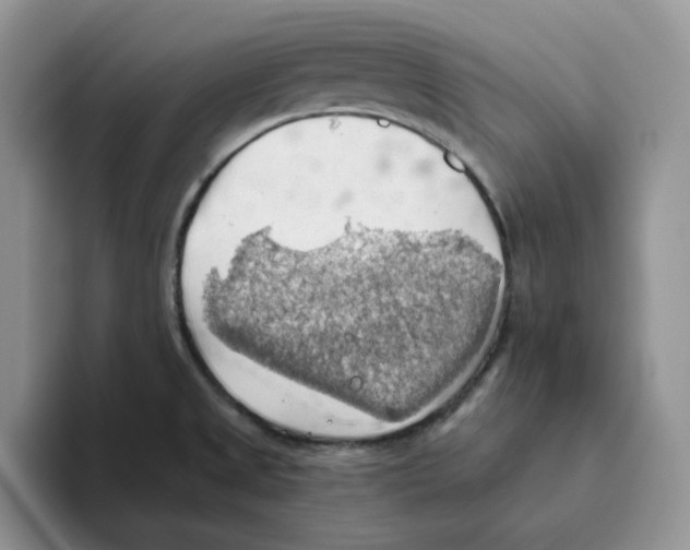 X0000093521525200711091730