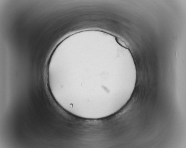 X0000093521526200711091730