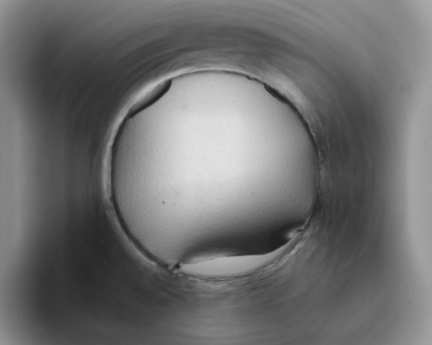 X0000093521528200711091730