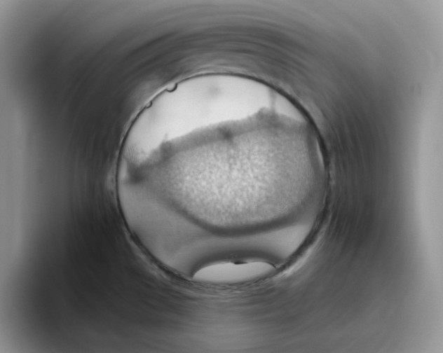 X0000093521529200711091730